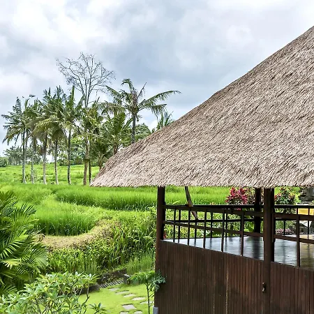 Hotel Villa Ubud-2